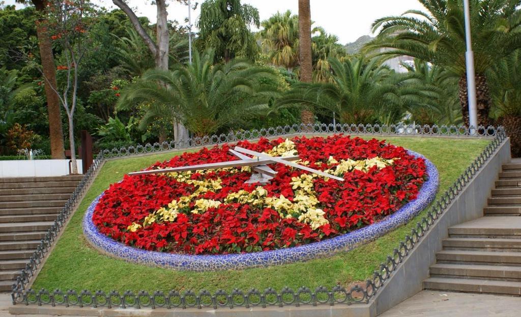 Santa Cruz De Tenerife Toscal Zewnętrze zdjęcie